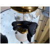 Ge ��� The Sensational Vibrating Anal Toy