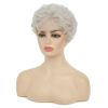 Short Gray White Wigs for Women Synthetic Layered Curly Natural Looking Costume Hair Wig
